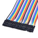 Dây bẹ 10cm (10 sợi)