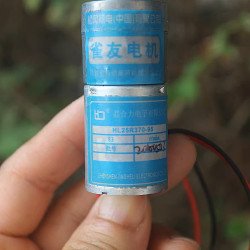 Động cơ giảm tốc 370 3-12VDC 83 vòng/phút Động cơ giảm tốc 370 3-12VDC 83 vòng/phút