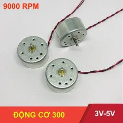Động cơ DC 300 (3-6V)